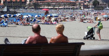 На іспанському курорті виявили електричних мурах: чим вони небезпечні для туристів