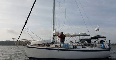 Чоловік звільнився з хорошої роботи і поплив в океан із котом: як змінилося його життя