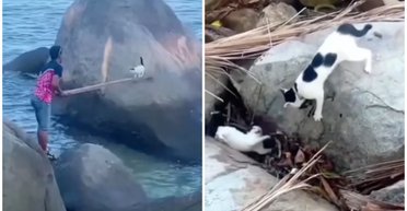 Неравнодушный мужчина спас котика из ловушки, но малого ждал "разбор полетов" (видео)