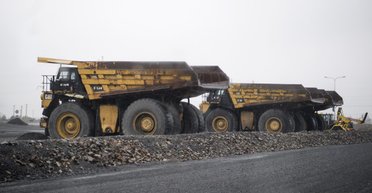 Птенец "черного лебедя". Как события в Бразилии и Аравии повлияют на украинскую экономику