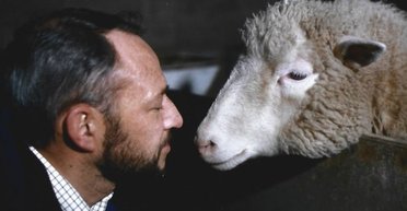Овечці Доллі — 25 років. Тепер генні інженери починають "редагувати" дітей