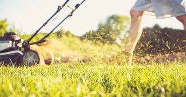 Сосед неутомимо косит его газон, а мужчина совершенно не понимает почему (фото)