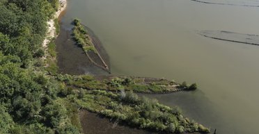 Взрывчатка Второй мировой оживляет Балтийское море: ученые фиксируют процветание морских существ (фото)