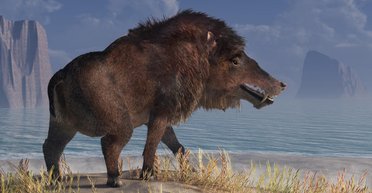 Терминаторы из прошлого. Ученые рассказали об удивительных и устрашающих "адских" свиньях (фото)