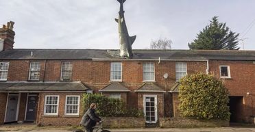 Власник будинку з акулою на даху здає житло в оренду за 207 тисяч гривень (фото)