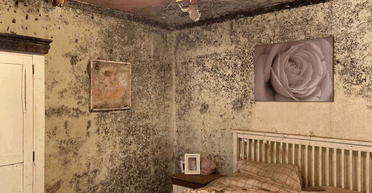 Незнайомці зібрали 120 000 фунтів стерлінгів, щоб допомогти пенсіонерці повернутися у свій дім