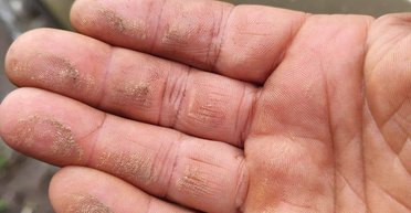 Україну накрив дощ з піском: синоптики пояснили походження аномальних опадів (відео)