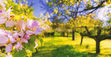 Весенние выходные: тепло почти по всей стране, но дожди уже на подходе