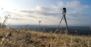 Несподіваний гість з пустелі: камера зафіксувала тварину, яку не сподівалися побачити (відео)