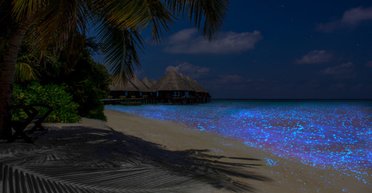 Море, которого не существует: почему туристы едут к "звездным волнам" на Мальдивы (фото)