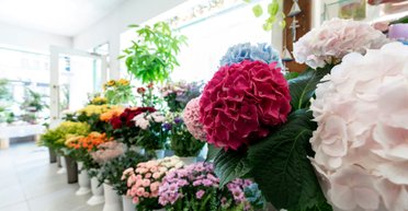 Украинцев возмутили цены букетов на 1 сентября — выше учительской зарплаты (фото)