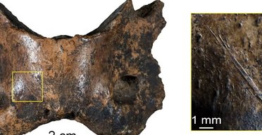 Меню найзагадковішого родича людини: яку страву найбільше любили денисівці