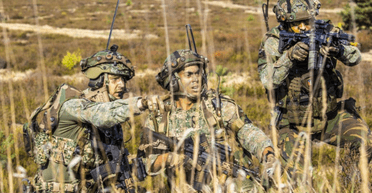 Почти половина нидерландцев поддерживают отправку войск в Украину, — опрос