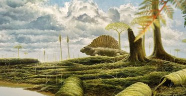 Пальми й алігатори за Полярним колом: учені з'ясували, до чого все йде