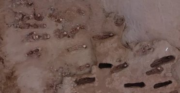 Найжорстокіше жертвопринесення: предки інків по-звірячому вбили десятки дітей заради врожаю