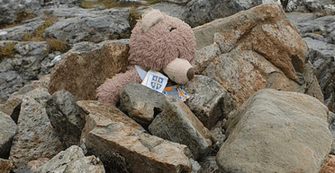 Більше ніж іграшка: плюшевого ведмедика, який подорожує світом, врятували з вершини гори