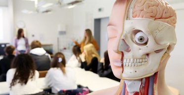 Искусственный интеллект сможет заменить любого учителя: в Duolingo рассказали, когда это произойдет