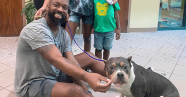 Знайшли за 500 км від дому: сім'я повернула зниклого собаку через 3 роки (фото)