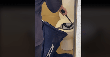 Ядовитая змея поселилась в унитазе общественном туалете (видео)