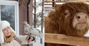 3 секретні місця під Києвом, де від краси перехоплює подих (фото)