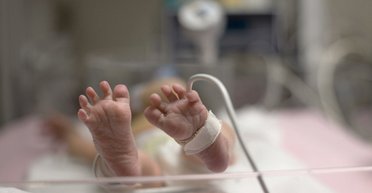 Инкубационный период. Как "ранние пташки" учат общению врачей и родителей