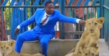 У клітці з левами: пастор, який хотів показати "божественний захист", виявився брехуном