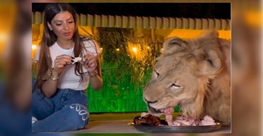 Ні краплі страху: жінка поїла з однієї тарілки з левом (відео)