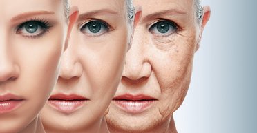 Вечная молодость. Когда человечество перестанет стареть