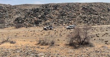 Вночі в пустелі Намібії лунає зловісний сміх: вчені знайшли того, хто сміється в темряві (відео)