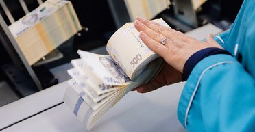 Стрессоустойчива. Что ждет гривну в 2017 году