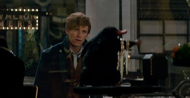 Твари по паре. Чем удивит кинозрителей первый приквел "поттерианы"