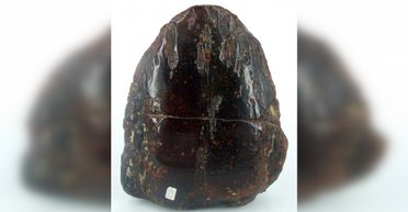 В Румынии женщина подпирала дверь куском янтаря за миллион евро