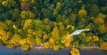 Дроны Borey теперь способны объединяться в рой: появились кадры их работы (видео)