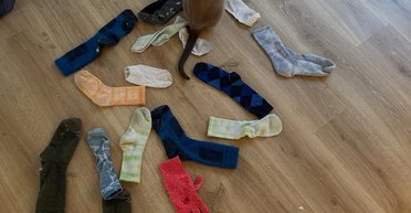 Знаменитый кот-воришка наносит ответный удар: теперь интересуется не только носками (видео)