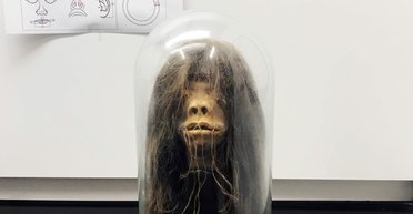 Высушенная голова, используемая в качестве реквизита для фильма, оказалась настоящей, - ученые (фото)