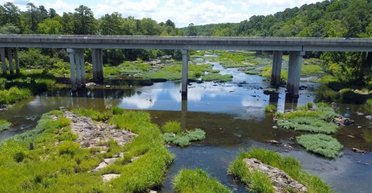 На Земле есть место, привлекающее токсичные химикаты: в 3 млн раз выше допустимых уровней