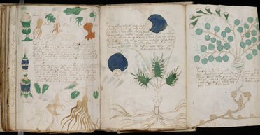 Искал развлечение и нашел разгадку тайны XV века: журналист приблизился к правде о Рукописи Войнича