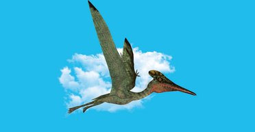 Птеродактиль и Айлен. Как болезнь превратилась в школу жизни