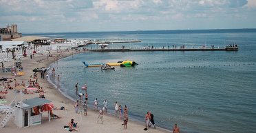 Настоящее нашествие: во время отдыха на украинском пляже семья обнаружила, что их вещи "захватили" сотни пчел