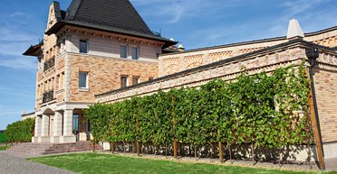 Легенды Закарпатья. Чем заняться и что дегустировать в долине Чизай