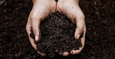 Земля надсилає таємні сигнали: вчені послухали ґрунт у нас під ногами