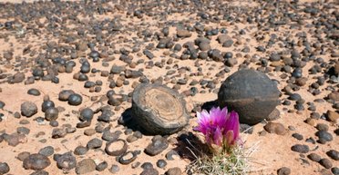 У пустелі Юти щось розкидало залізні кульки 25 млн років тому: такі ж лежать на Марсі