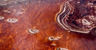 Окаменеет или нет: что будет с человеком, если он упадет в самое щелочное озеро в мире