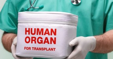 Мифы и правда о трансплантации. Чего боятся противники закона и что на самом деле произойдет