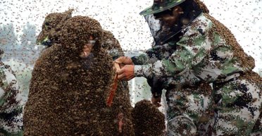 Безумные рекордсмены. Как рискуют жизнью ради невероятных достижений