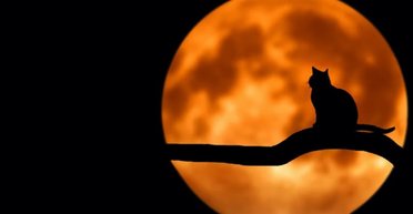 Полнолуние 17 октября — кому из знаков зодиака повезет финансово