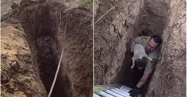 Чоловік почув дивний шум з-під землі: він був не готовий побачити, що там відбувається