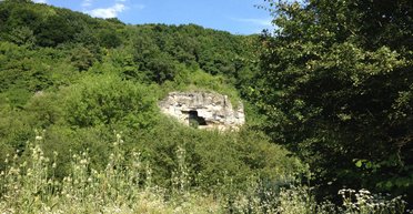 Залучанские пещеры. Подземные чудеса и растительные диковинки Подольских Товтр