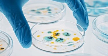 Учені виявили невідомий живий організм на китайській космічній станції "Тяньгун"