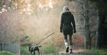 Прийняв цуценя за оленицю: мисливець підстрелив жінку, яка вигулювала собаку
